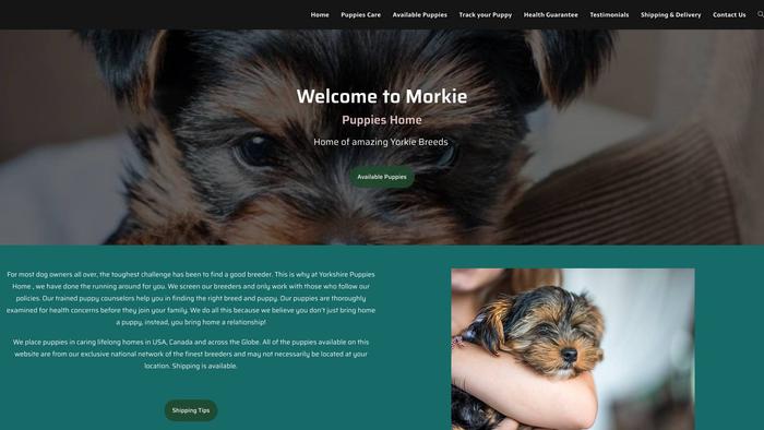 Mbelusmorkiepuppieshome.com - Yorkshire Terrier Puppy Scam Review