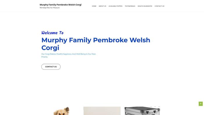 Mfamilypembrokewelshcorgi.com - Corgi Puppy Scam Review