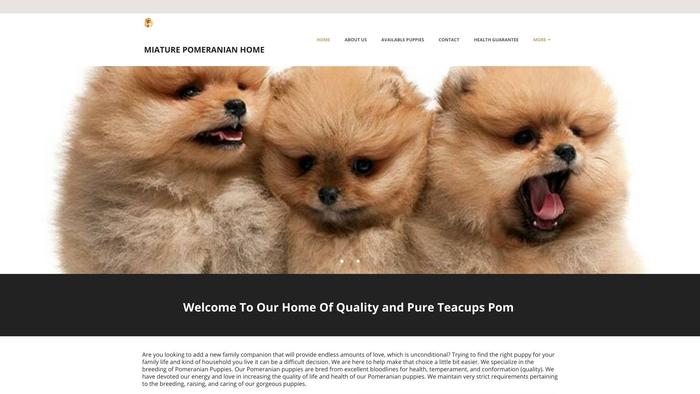 Miaturepomeranianpups.com - Pomeranian Puppy Scam Review