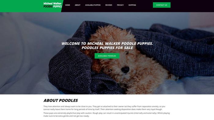 Michealwalkerpoodlepuppies.com - Poodle Puppy Scam Review