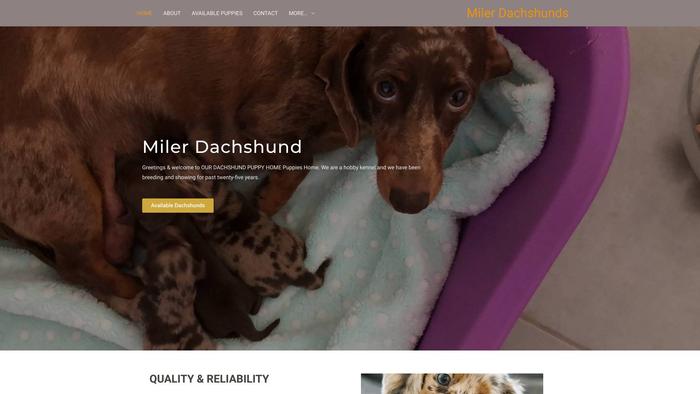 Milerdachshund.net - Dachshund Puppy Scam Review