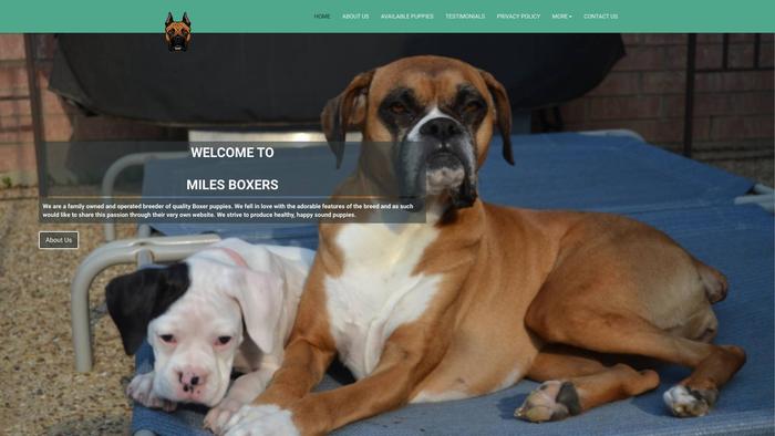 Milesboxers.com - Boxer Puppy Scam Review