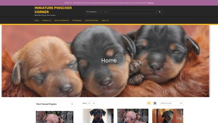 Miniaturepinscherpuppiesconer.com - Doberman Pinscher Puppy Scam Review