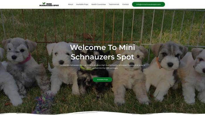 Minischnauzerspot.com - Schnauzer Puppy Scam Review