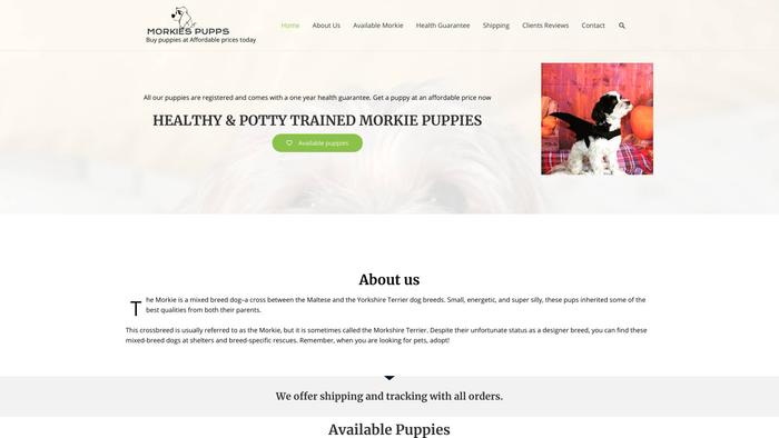 Morkiespupps.com - Yorkshire Terrier Puppy Scam Review