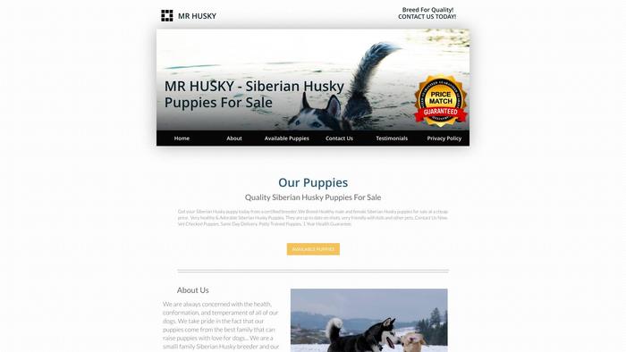 Mrhuskypuppies.com - Husky Puppy Scam Review