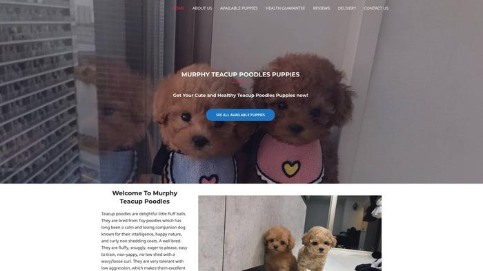 Murphyteacuppoodles.com - Poodle Puppy Scam Review