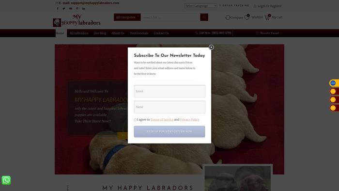 Myhappylabradors.com - Labrador Puppy Scam Review