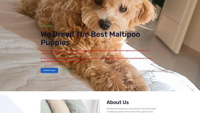 Mysmartmaltipoo.com - Maltipoo Puppy Scam Review