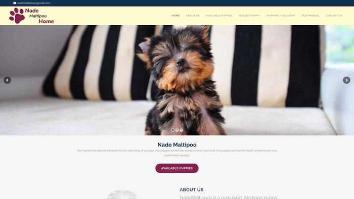 Nademaltipoo.com - Maltipoo Puppy Scam Review