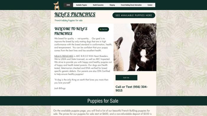 Nelasfrenchies.online - French Bulldog Puppy Scam Review