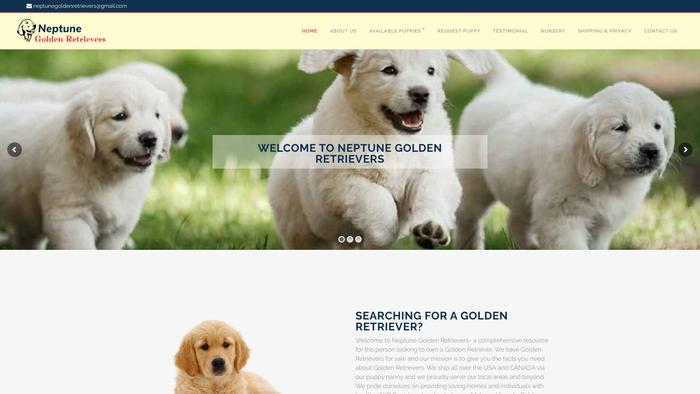 Neptunegoldenretrievers.com - Golden Retriever Puppy Scam Review