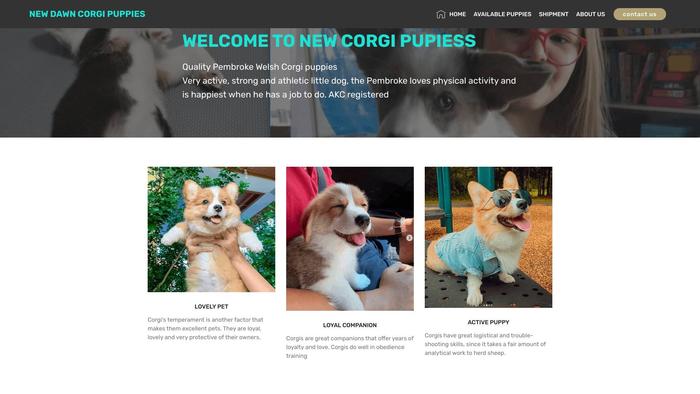 Newdawncorgispuppies.com - Corgi Puppy Scam Review