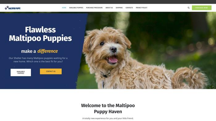 Newmaltipoopuppiesforsale.com - Maltipoo Puppy Scam Review