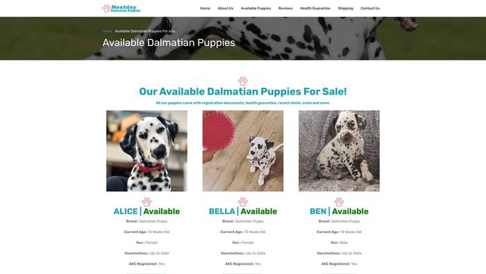 Nextdaydalmatianpuppies.com - Labrador Puppy Scam Review