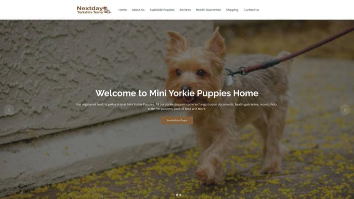 Nextdayyorkshireterriers.com - Terrier Puppy Scam Review