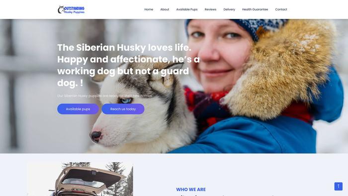 Outstanding-huskypuppies.com - Husky Puppy Scam Review