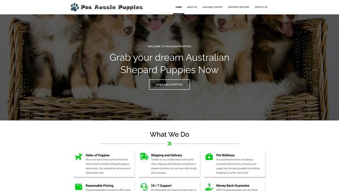 Pacaussiepuppies.com - Australian Shepherd Puppy Scam Review