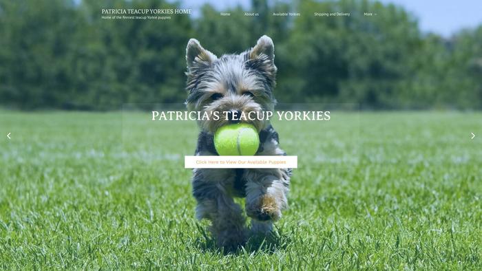 Patriciatcupyorkies.com - Yorkshire Terrier Puppy Scam Review