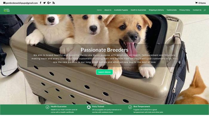 Pembrokewelshpuppis.com - Corgi Puppy Scam Review