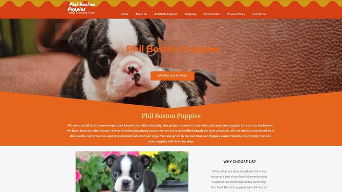 Philbostonpuppies.com - Terrier Puppy Scam Review