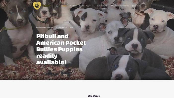 Pitbullbullypuppies.com - Pit Bull Puppy Scam Review