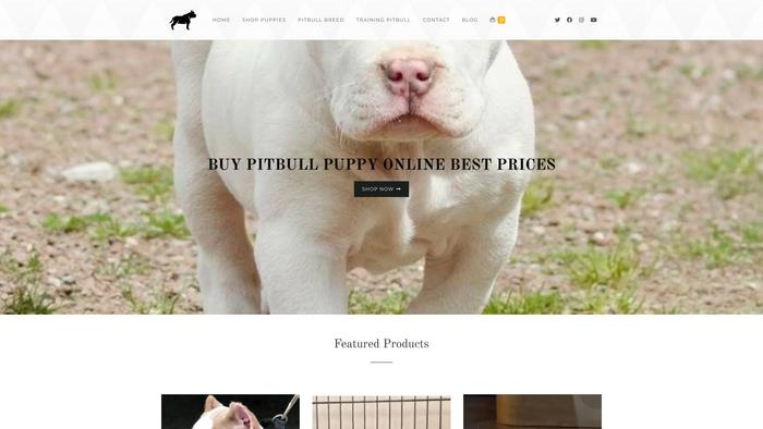 Pitbullpuppyhome.com - Pit Bull Puppy Scam Review