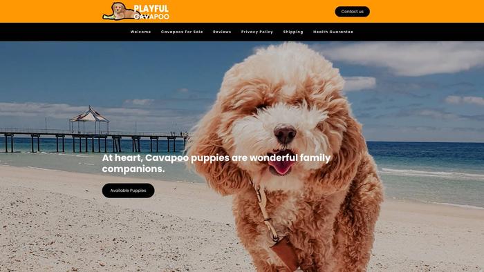 Playfulcavapoo.com - Cavapoo Puppy Scam Review