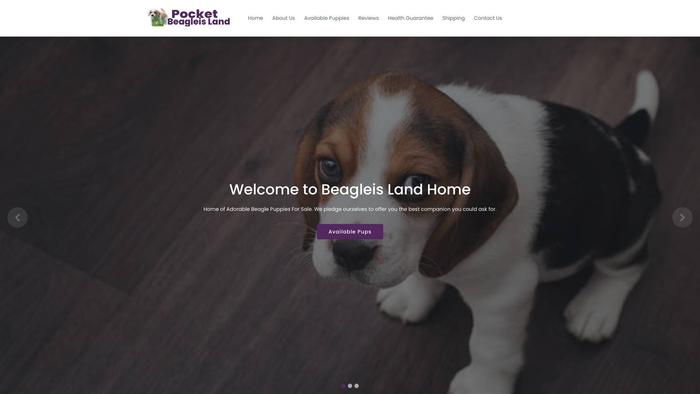 Pocketbeagleisland.com - Beagle Puppy Scam Review