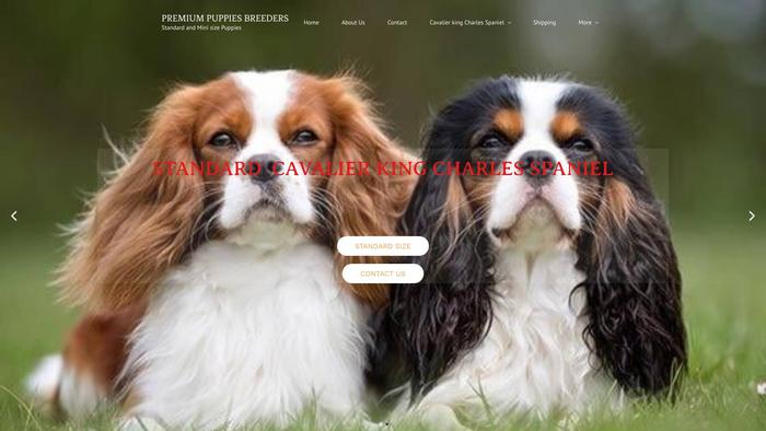 Premiumkingcharles.com - Cavalier King Charles Spaniel Puppy Scam Review