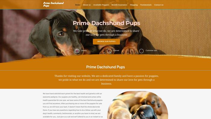 Primedachshundpups.com - Dachshund Puppy Scam Review