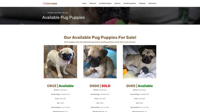 Pugfarms.com - Pug Puppy Scam Review