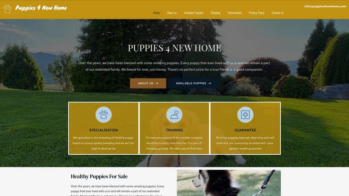 Puppies4newhome.com - Yorkshire Terrier Puppy Scam Review