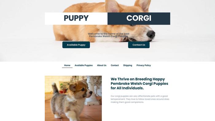 Puppycorgi.com - Corgi Puppy Scam Review