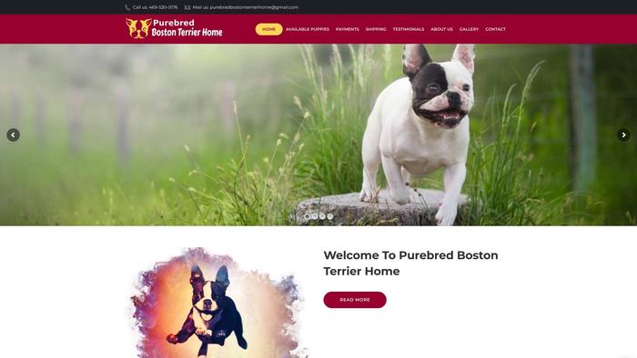 Purebredbostonterrierhome.com - Terrier Puppy Scam Review