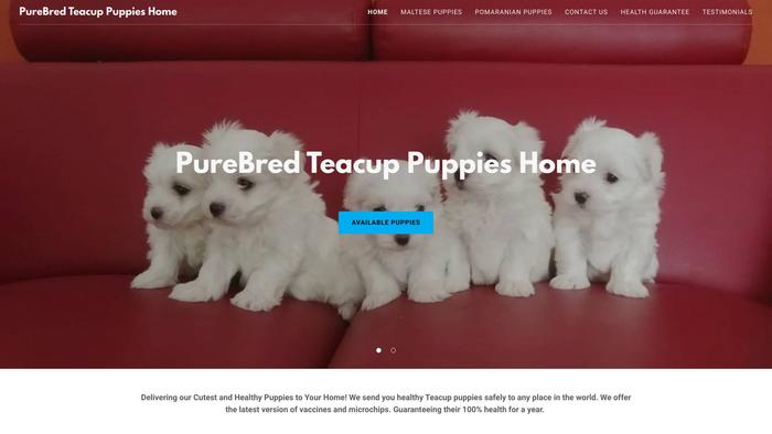 Purebredteacuppuppies.com - Yorkshire Terrier Puppy Scam Review