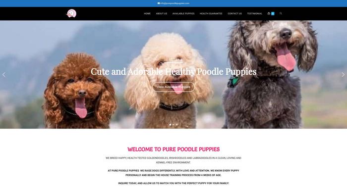 Purepoodlepuppies.com - Poodle Puppy Scam Review