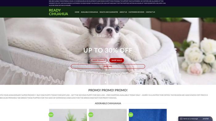 Readychi-huahua.com - Chihuahua Puppy Scam Review