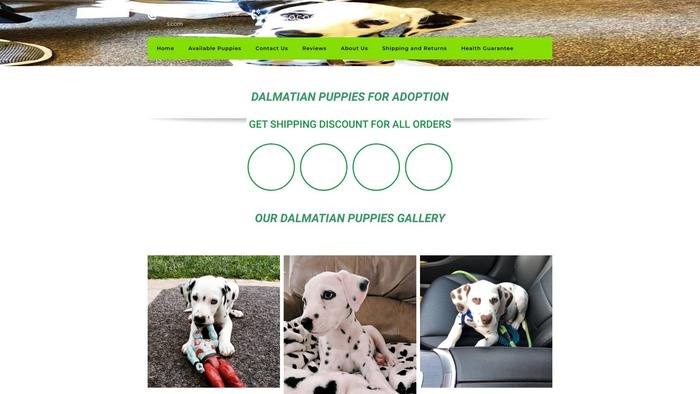 Rexdalmatianpuppies.com - Labrador Puppy Scam Review