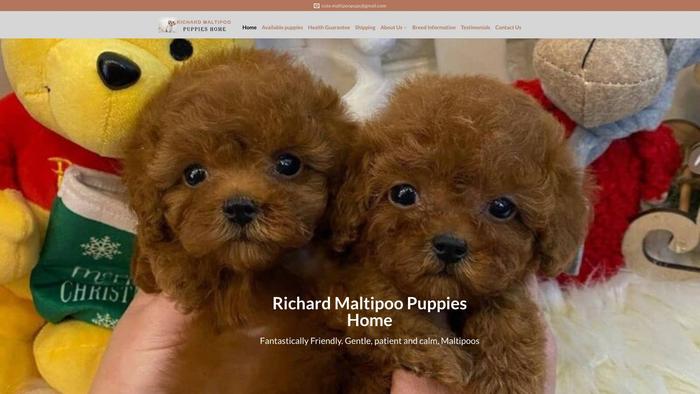 Richardmaltipoopups.com - Maltipoo Puppy Scam Review