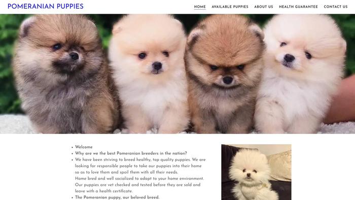 Richardpomeranianpuppies.com - Pomeranian Puppy Scam Review