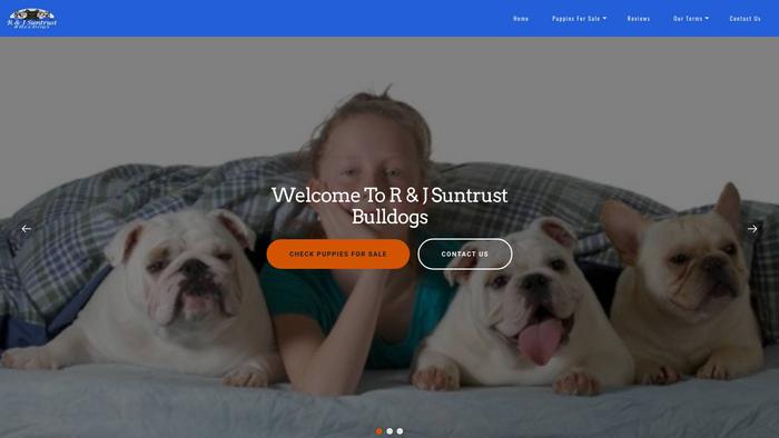 Rjsuntrustbulldogs.com - Bulldog Puppy Scam Review