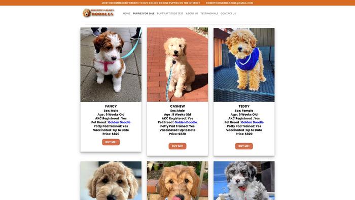 Robertogoldendoodle.com - Golden Doodle Puppy Scam Review