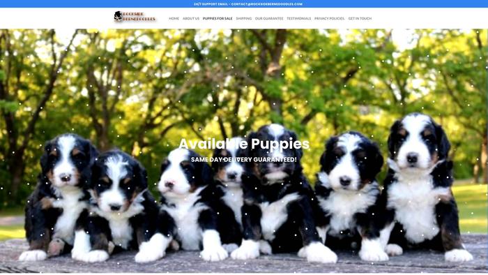 Rocksidebernedoodles.com - Bernedoodle Puppy Scam Review