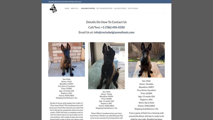 Rockybelgianmalinois.com - Germanshepherd Puppy Scam Review