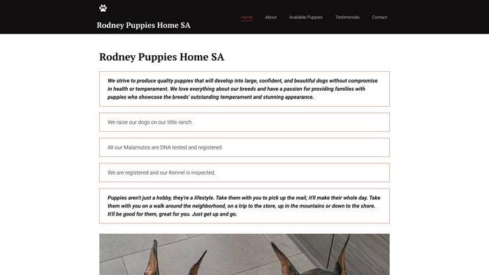 Rodneypuppieshomesa.com - Doberman Pinscher Puppy Scam Review