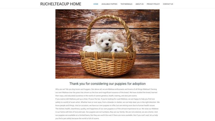 Ruchelteacuphome.com - Yorkshire Terrier Puppy Scam Review