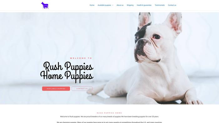 Rushpuppies.com - Corgi Puppy Scam Review