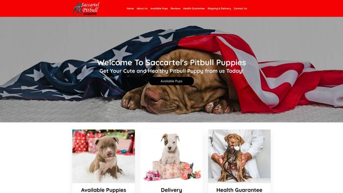 Saccartelpitbullpuppies.com - Pit Bull Puppy Scam Review