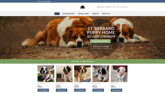 Saintbernardpuppyhouse.com - Saint Bernard Puppy Scam Review